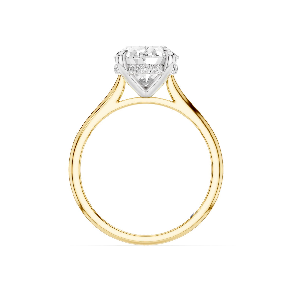 Lyra – 3 Carat Oval Cathedral Hidden Halo